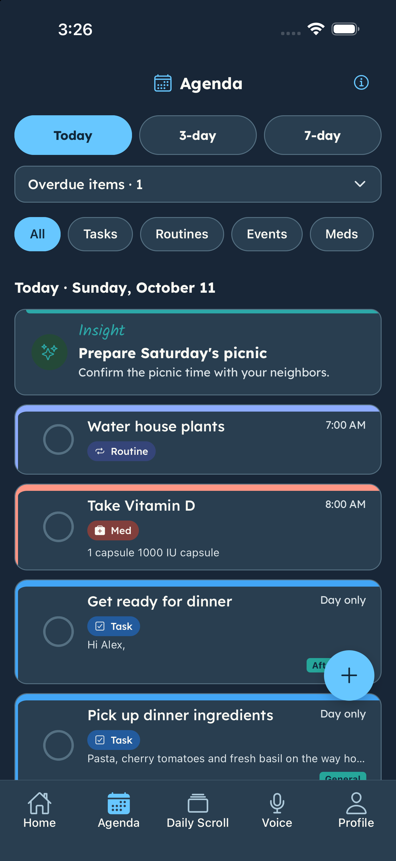Agenda on iPhone showing today’s routines, medication and tasks with category colors.